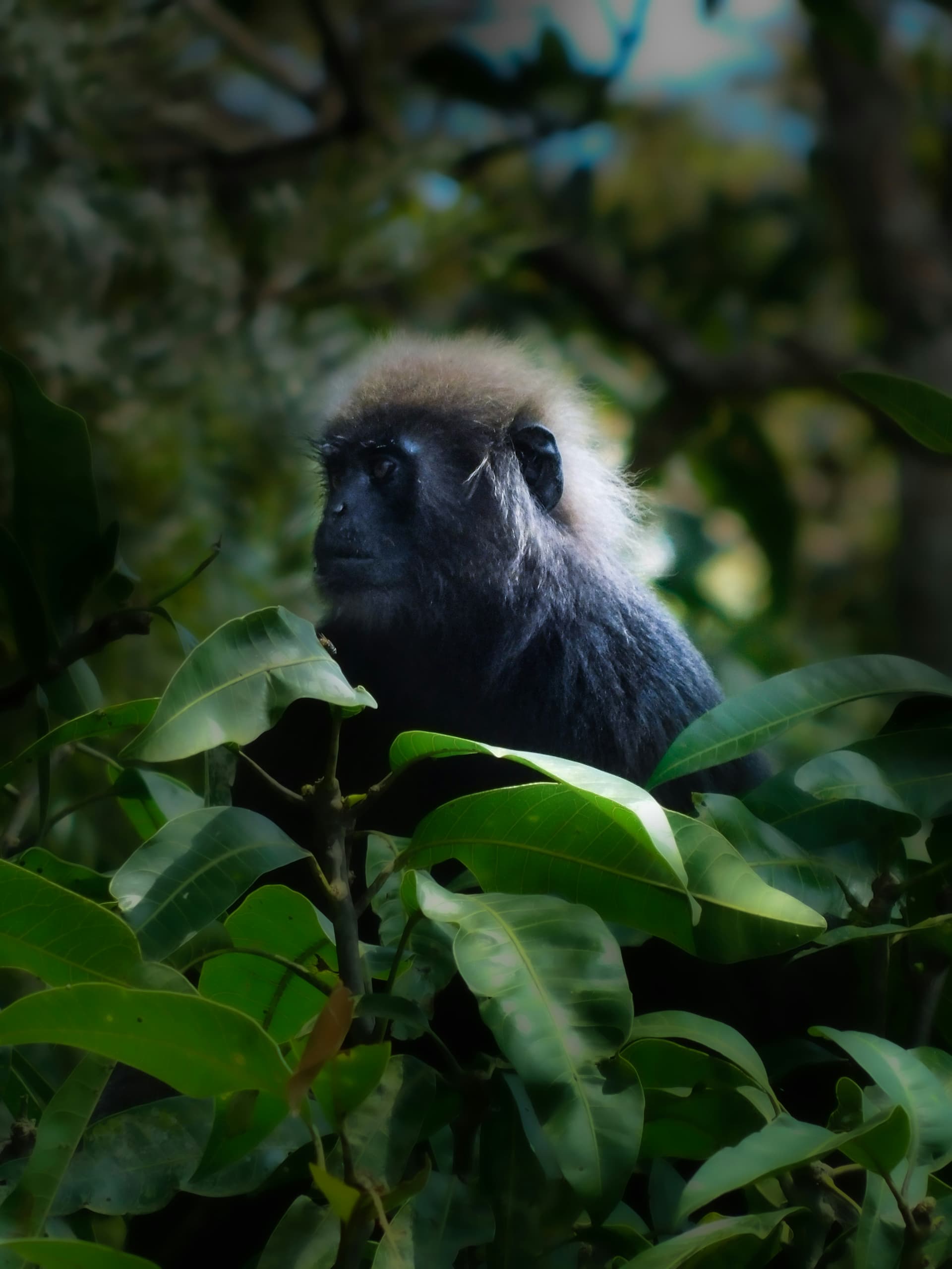 Periyar National Park