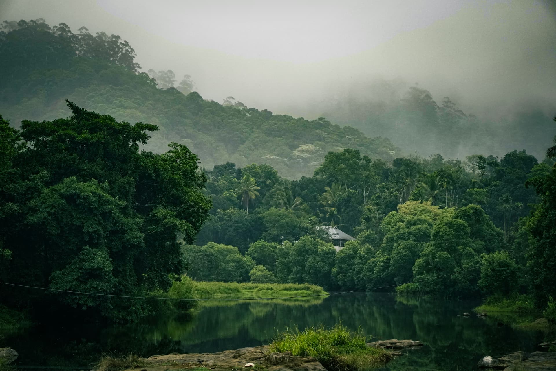 Thekkady Wildlife