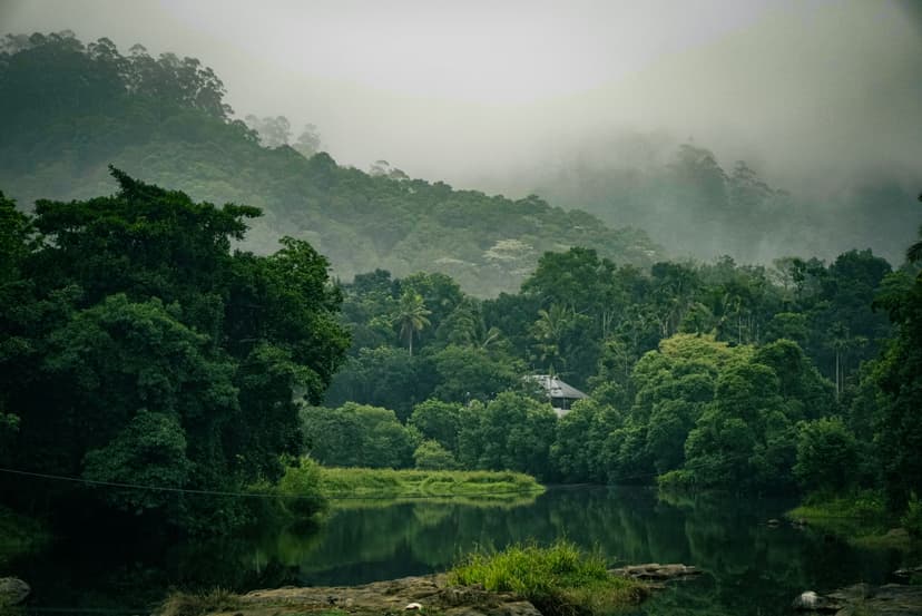 Munnar & Thekkady Combo