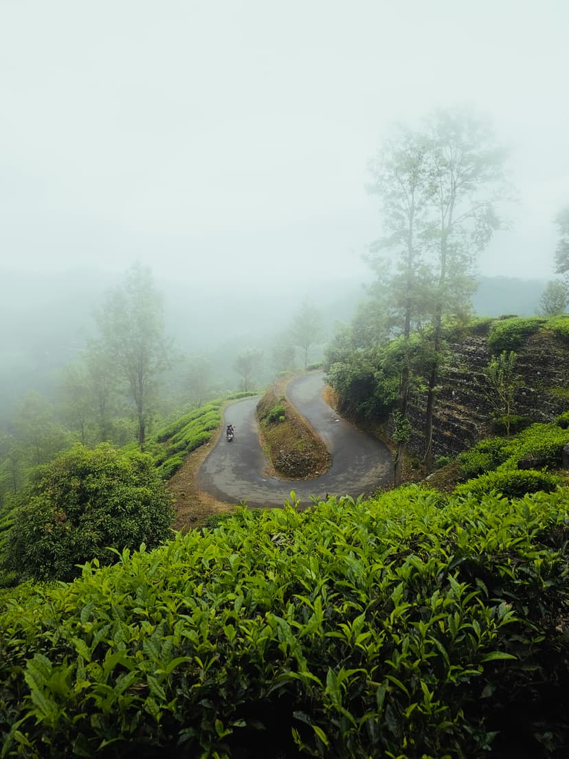 Munnar Family Retreat