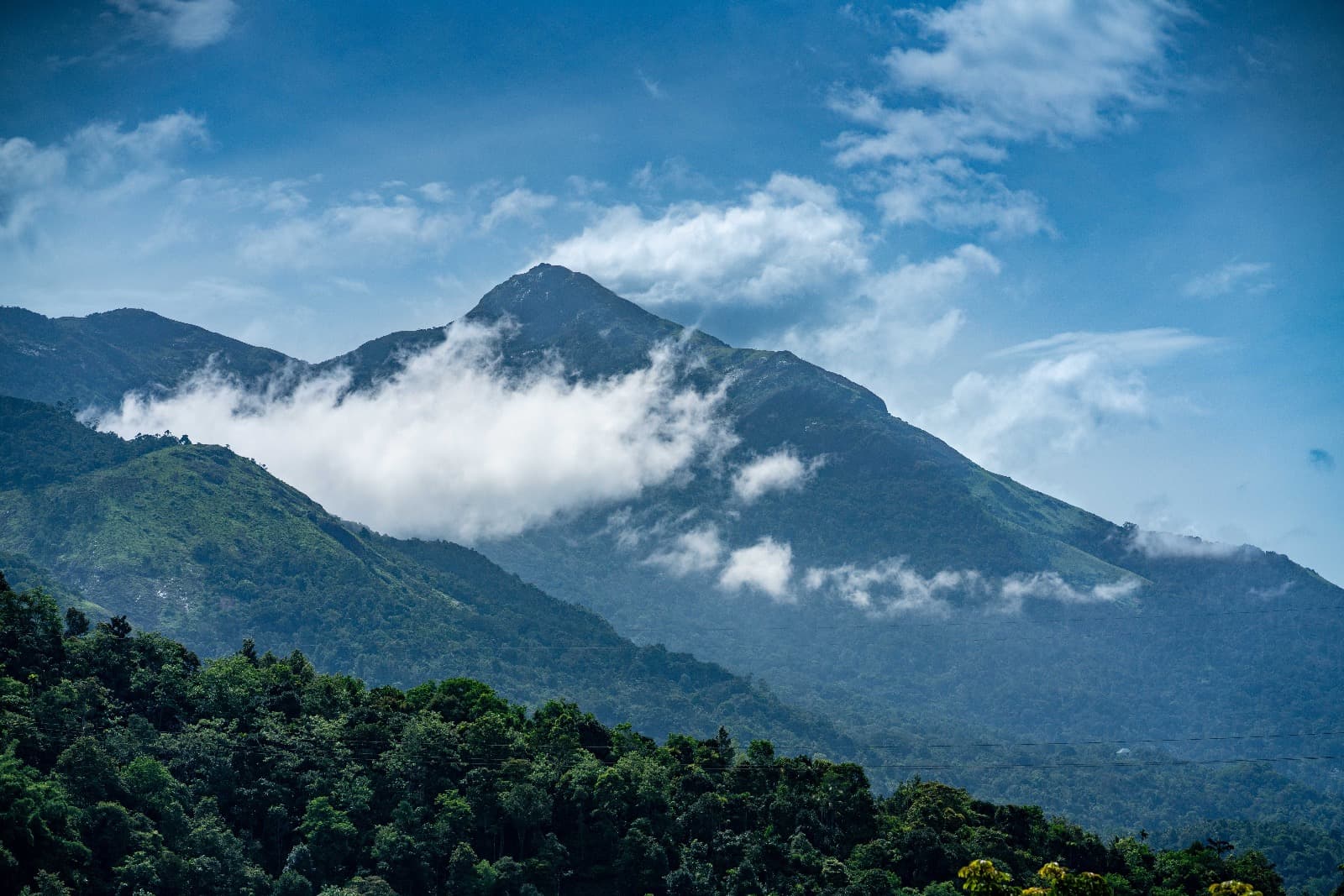 Hills & Spice Trails