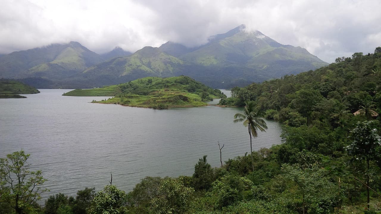 Wayanad Forests