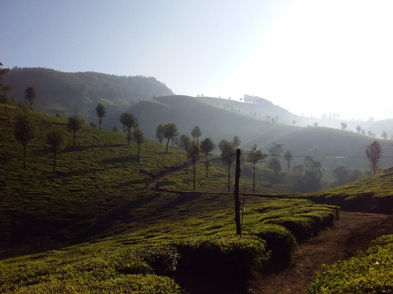 Kerala Tour Packages 2026: Complete Travel Guide with Prices, Itinerary & Best Time to Visit